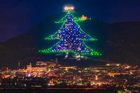 albero di natale louis vuitton|albero di natale gubbio.